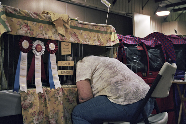 http://dylanderose.com/files/gimgs/5_dylanderose-17.jpg
